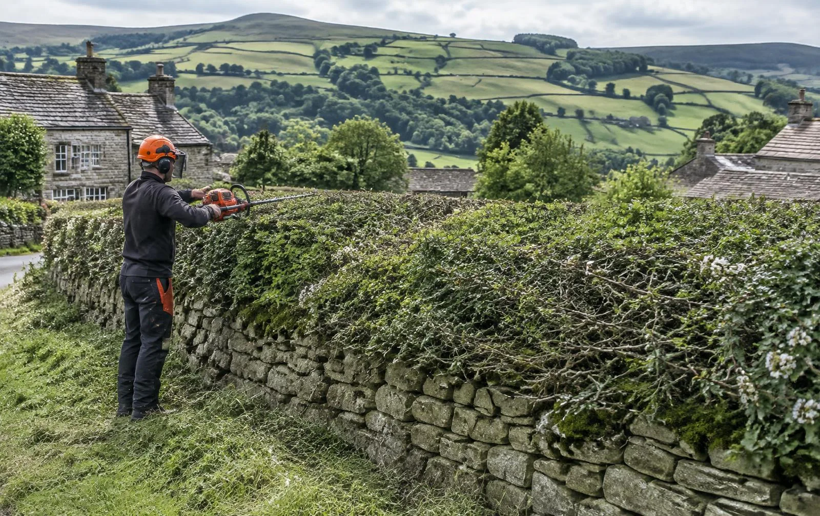 Tree care near Markington, North Yorkshire Hedge cutting beside a dry stone wall in a Nidderdale village, near Markington